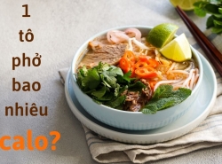 PHỞ BAO NHIÊU CALO? 